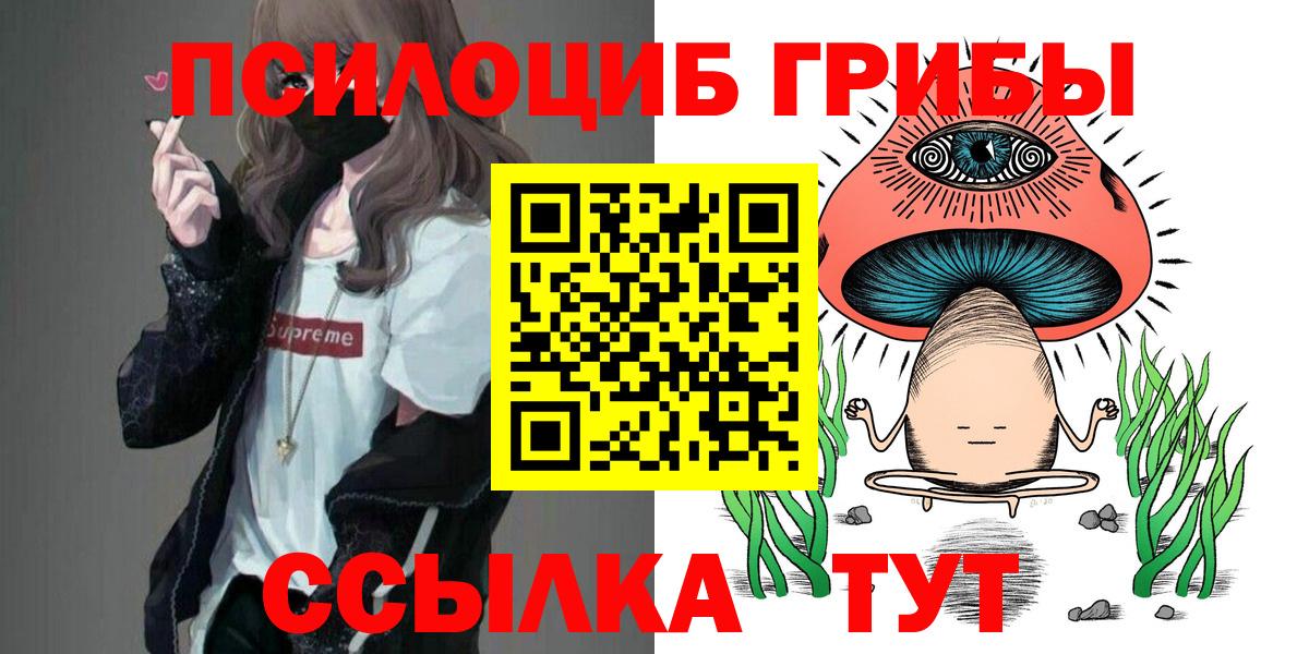 Куйбышев  Псилоцибиновые грибы Psilocybine cubensis  Вход с VPN 
