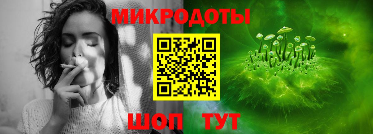 Галлюциногенные грибы Psilocybine cubensis Куйбышев